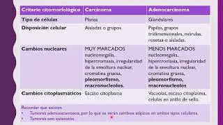 Masterclass Carcinoma vs Adenocarcinoma