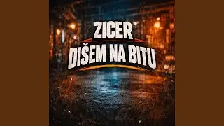 ZICER DI&Scaron;EM NA BITU