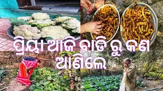 ପ୍ରିୟା ଆଜି ବାଡି ରୁ କଣ ଆଣିଲେ 
