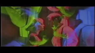 #ELEVATOR - YUN PXTSY