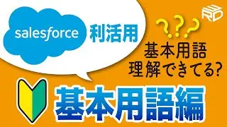 【初心者向け】【基本を丁寧に解説】セールスフォース利活用～基本用語編～ #DX