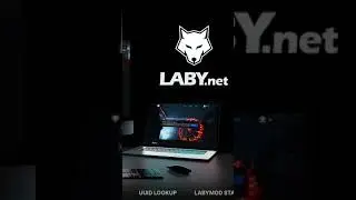 laby.net - The ultra fast and clean Minecraft user search and skin library #shorts