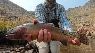 Hiking the High Country in Search of Giant Cutthroat (Part Two)