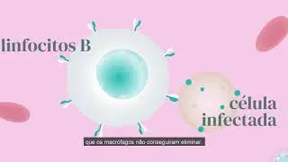 Como a vacina contra a Covid-19 funciona em nosso corpo?