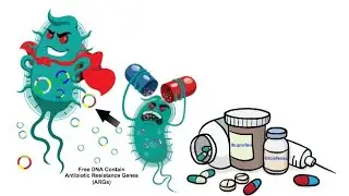 Antimicrobial resistance: a global public health threat that needs an urgent solution.