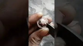 How TortoiseRing It'sMade #shorts #viral #trending #youtubeshorts #tortoise #turtles #nandagoldsmith