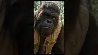 Brother Tim found the trail cam&hellip;.🌲 #appalachia#hunting#funny#bigfoot#smokeymountains