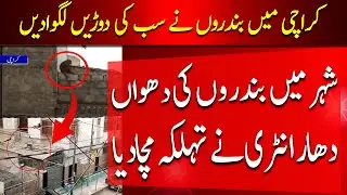 MONKEY Chaos in Karachi Streets! | monkey smuggling in karachi | monkey in karachi