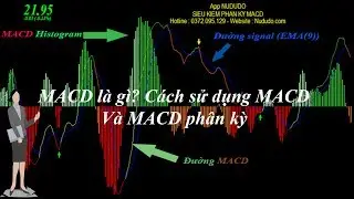 Đường chỉ b&aacute;o MACD l&agrave; g&igrave;? C&aacute;ch sử dụng v&agrave; sự hội tụ ph&acirc;n kỳ của MACD - CODE AMIBROKER AFL