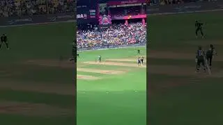 trent bolt bouncer #cricket #cricketlover #shorts