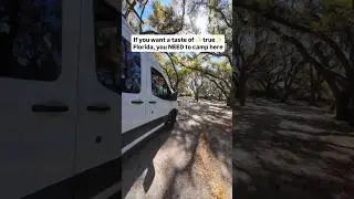 This Hidden Florida Campground is Pure Magic! 🌿✨ #floridacamping #exploreflorida #wildflorida