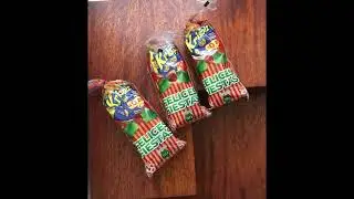 EXPERIENCIA: CAS NAVIDAD DAVID BONILLA 3 C 2025