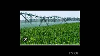 Water saving tips