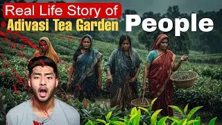 Story of Assam Adivasi Tea Garden worker's #adivasi #assamteagarden #teatribe