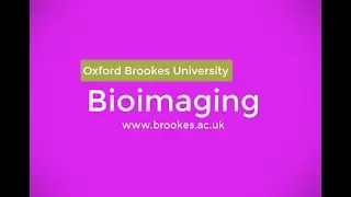 Bioimaging at Oxford Brookes University