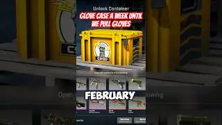 Glove Case Opening- Week 7 | CS2