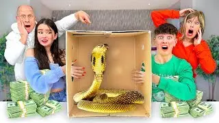 EXTREME What's In The Box Challenge! *LIVE ANIMALS*