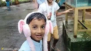 Munnar nature views-2025