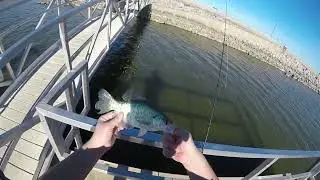 Crappie Fishing for Slabs, Pitching the Dock #crappie #fishing #outdoors #crappiefishing