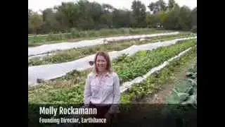 The Impact of EarthDance