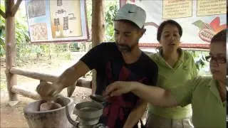 Rainforest Chocolate tour