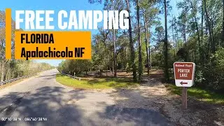 FREE CAMPING - Apalachicola National Forest - Porter Lake Campground - Florida Pan Handle Dispersed