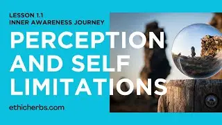 Inner awareness - Perception and Self Limitations