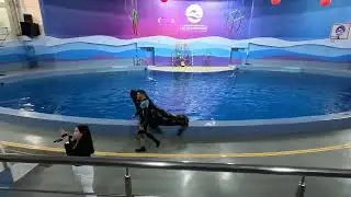 Большой Сочинский Дельфинарий / Sochi