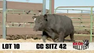 Lot10 CCSitz42 BBF24