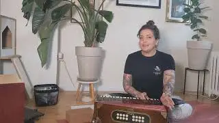 What kind of harmonium should I buy?