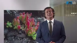 Приветственное слово госсекретаря Сальвадора Мальейру на конференции Diving Talks 2025