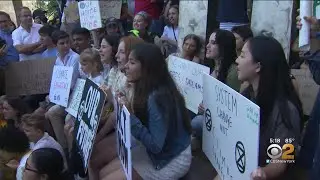 Swedish Climate Change Activist Stages Protest At United Nations