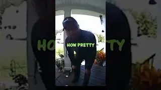 Delivery Surprise: FedEx Driver Captivated by Stunning Flowers During Routine Delivery #shorts