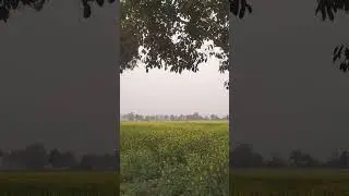 #nature scenes #amazing# climate#peace## fresh#air
