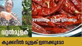 കുക്കറിൽ എങ്ങനെയാണ് മുളക്കുന്നത് ഉണക്കുന്നത്