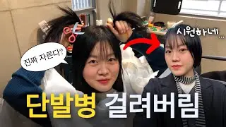 4년간 정들었던 머리야 안녕...긴머리에서 짧은 머리로 파격적인 대.변.신💇‍♀️(새로운 머리로 다시 태어났습니다래끼)