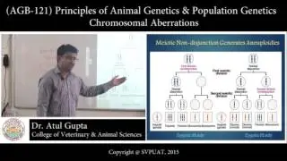 (AGB-121) Principles of Animal Genetics & Population Genetics