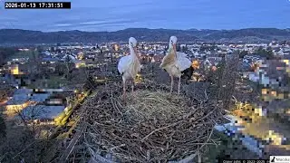 Kirchzarten DE - 🎉 Ulla und Edgar sind wieder zu Hause     Itthon a két csavargó