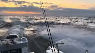 Cruise Craft 635 EX ST