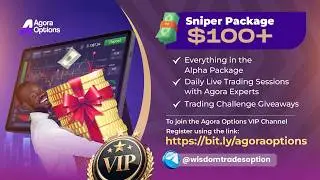 Beginners Guide to Banking $1000 Weekly With The Agora AI
