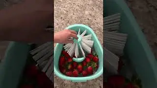 This Fruit Washer Spinner is a Game-Changer! 🌀🍓 #amazonfinds #amzonmustbuy #youtubeshorts #shorts