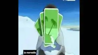 papa pinguin