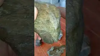 НОС, ГЛАЗА, СОСКИ &mdash; ВСЕ НА МЕСТЕ
