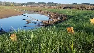 Baltimore County Stream Restoration by Ecotone