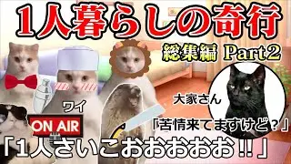 【総集編】一人暮らしの奇行シリーズまとめてみたPart6〜10 #猫ミーム #猫マニ
