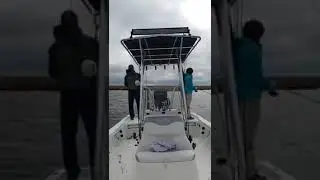 Myrtle Grove, LA Redfish Trip