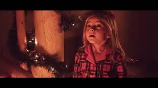 Hollywood&rsquo;s Premier Real-Bearded Santa: 'Santa' Ed Taylor | Actor Reel