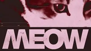 Cat Dealers - MEOW