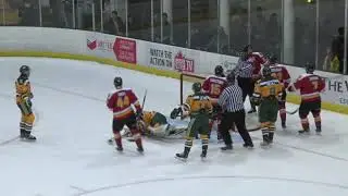 Highlights: Golden Bears Hockey vs Calgary DInos