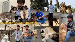 Karnal Biggest Dog Kennel Worth Crores | 23 Saal Ke Ladke Ne Bana Daala Croro Ka Farm